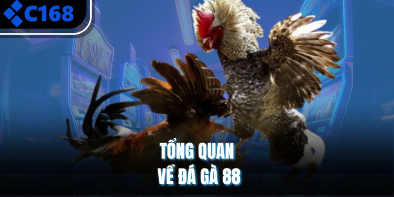Tổng quan về đá gà 88